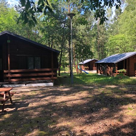Lesnik Bungalow Stegna - Domki Letniskowe Nad Morzem Buitenkant foto