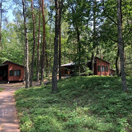 Lesnik Bungalow Stegna - Domki Letniskowe Nad Morzem Buitenkant foto