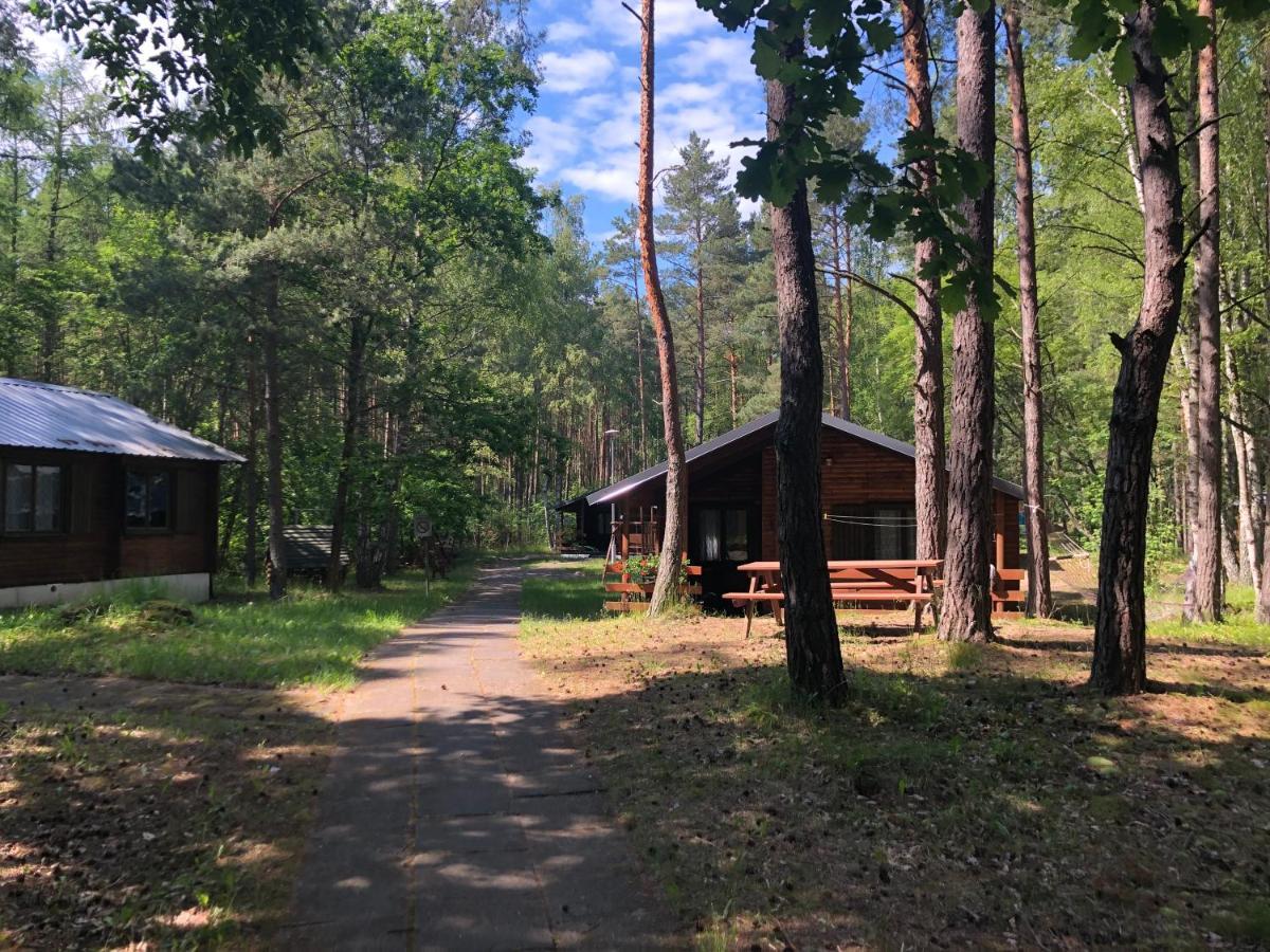 Lesnik Bungalow Stegna - Domki Letniskowe Nad Morzem Buitenkant foto