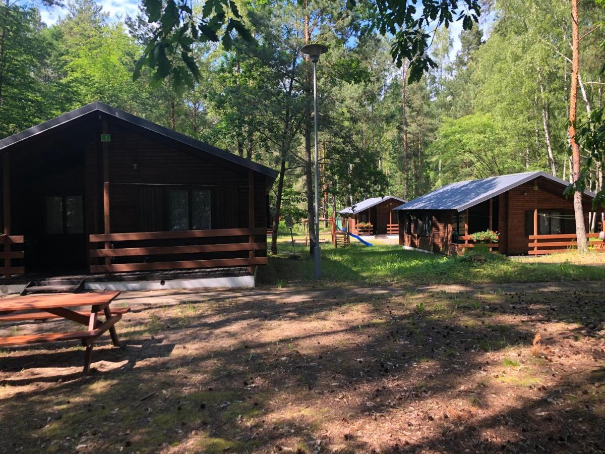 Lesnik Bungalow Stegna - Domki Letniskowe Nad Morzem Buitenkant foto