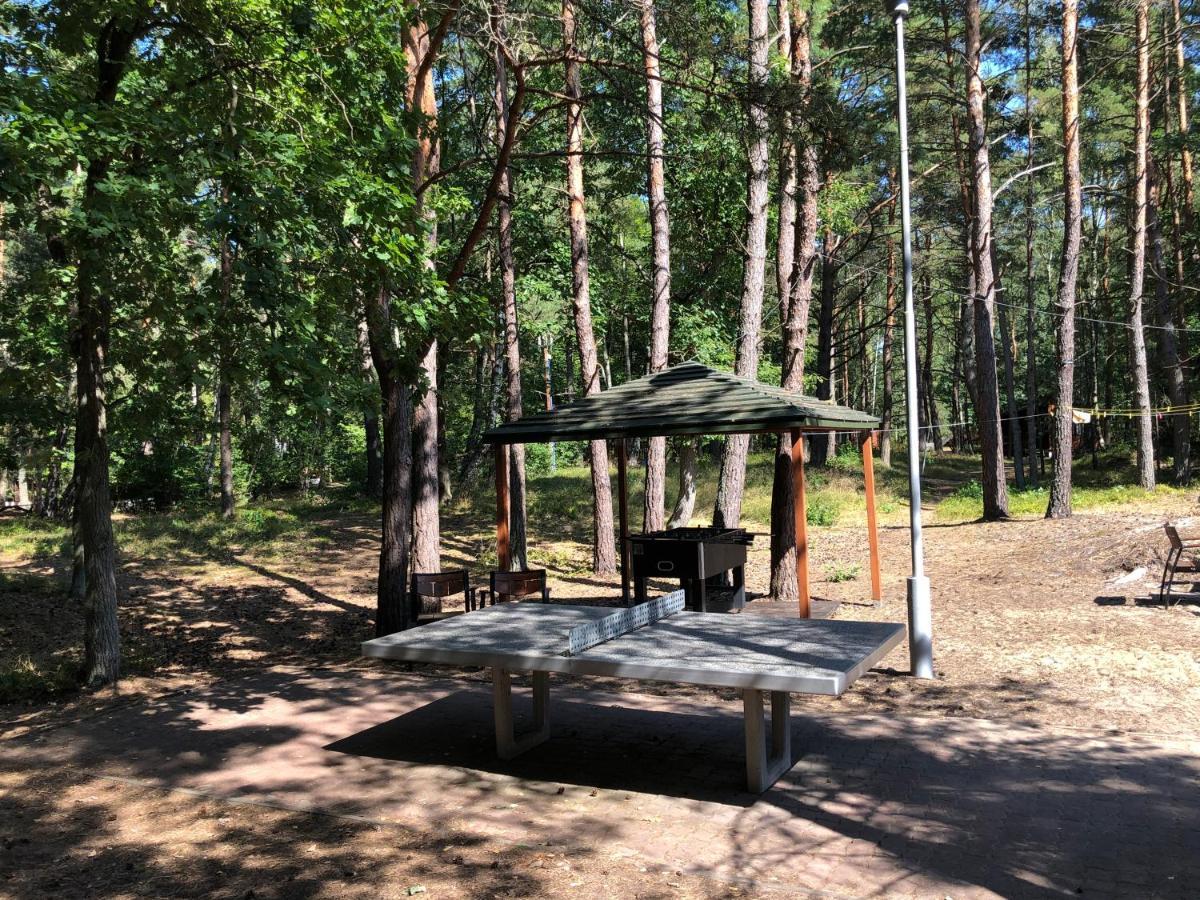 Lesnik Bungalow Stegna - Domki Letniskowe Nad Morzem Buitenkant foto