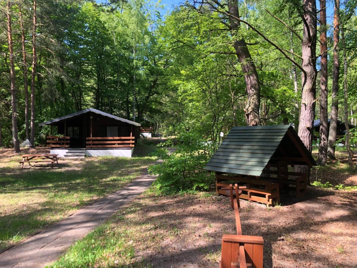 Lesnik Bungalow Stegna - Domki Letniskowe Nad Morzem Buitenkant foto