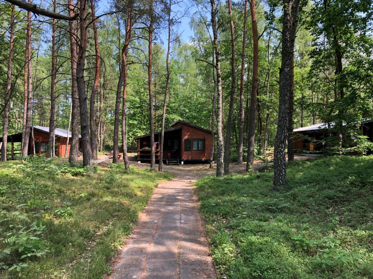 Lesnik Bungalow Stegna - Domki Letniskowe Nad Morzem Buitenkant foto