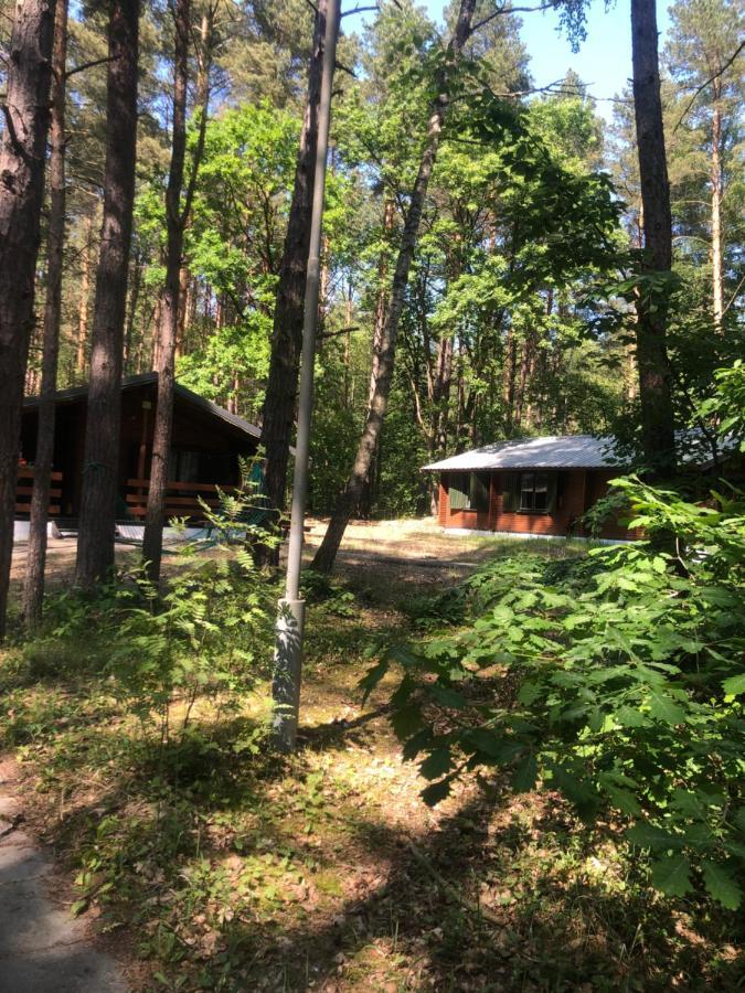 Lesnik Bungalow Stegna - Domki Letniskowe Nad Morzem Buitenkant foto