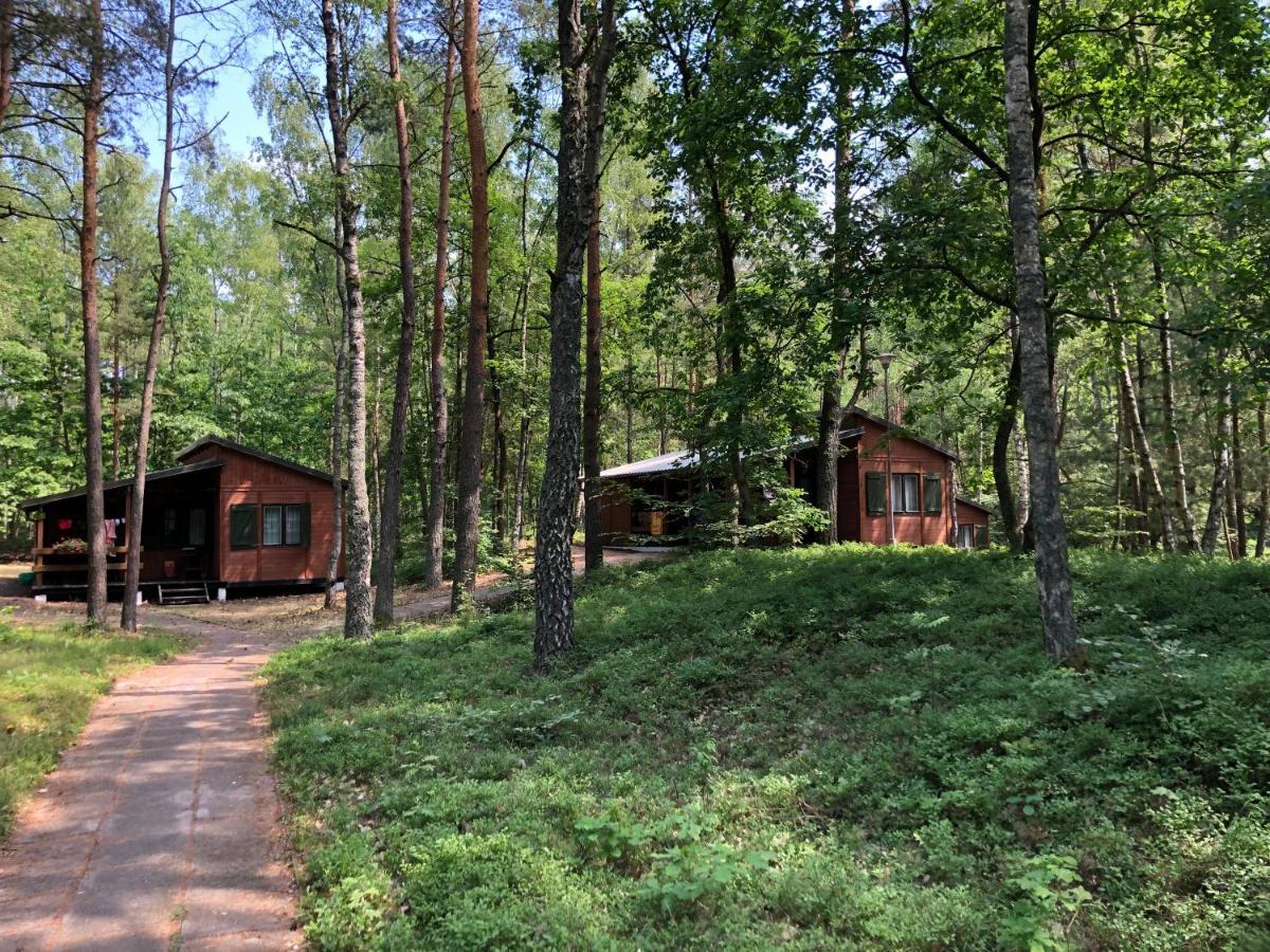 Lesnik Bungalow Stegna - Domki Letniskowe Nad Morzem Buitenkant foto